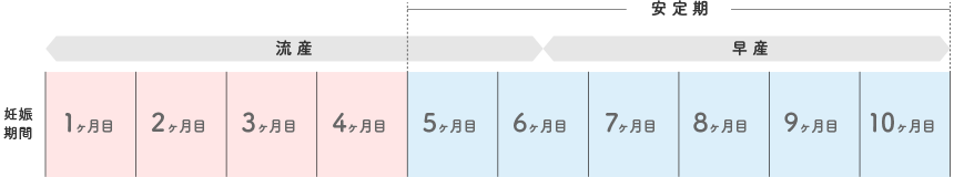 妊娠期間